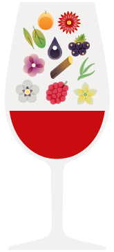 Copo Trás-os-Montes