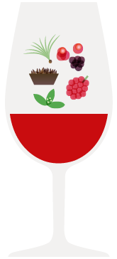 Copo Península de Setúbal