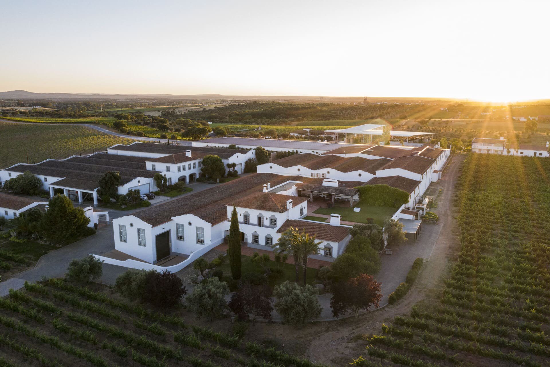 João Portugal Ramos - Adega Vila Santa - winesofportugal.com