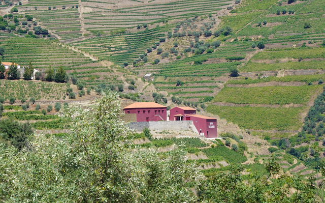 Quinta Vale D. Maria