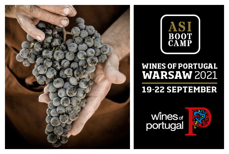 Wines of Portugal participate in ASI BootCamp 2021