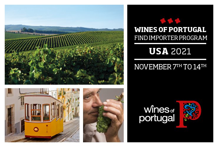 2ª edição da Wines of Portugal Virtual Experience