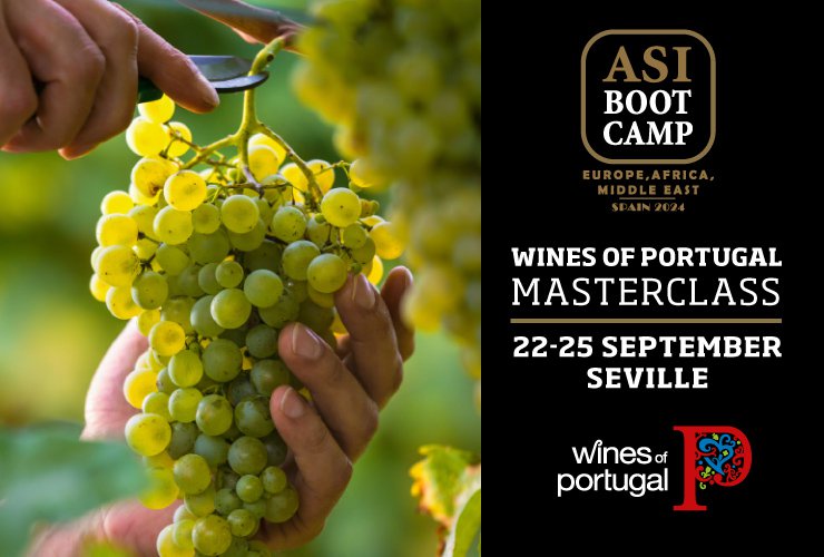 Wines of Portugal participate in ASI BootCamp 2024