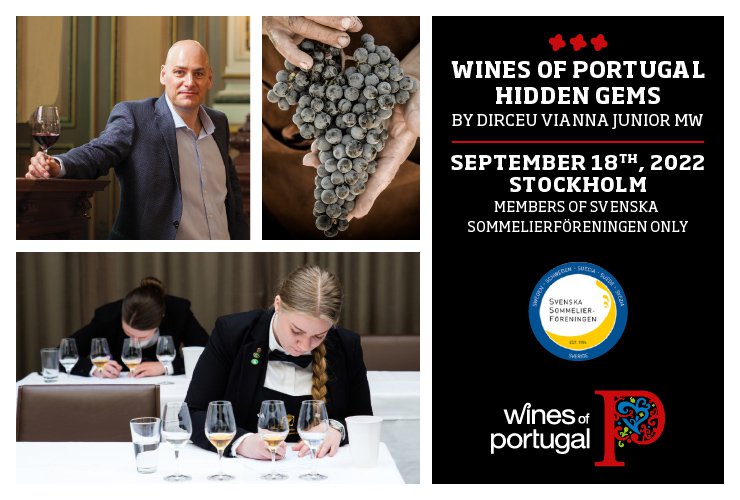 Masterclass Vinhos de Portugal "Castas Raras" por  MW Dirceu Vianna Junior - Suécia 2022