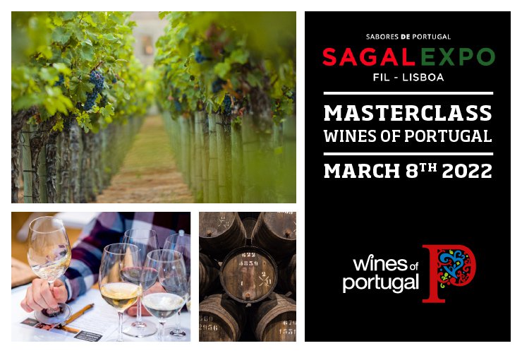 Wines of Portugal Masterclass at 1st Edition SAGAL EXPO 2022