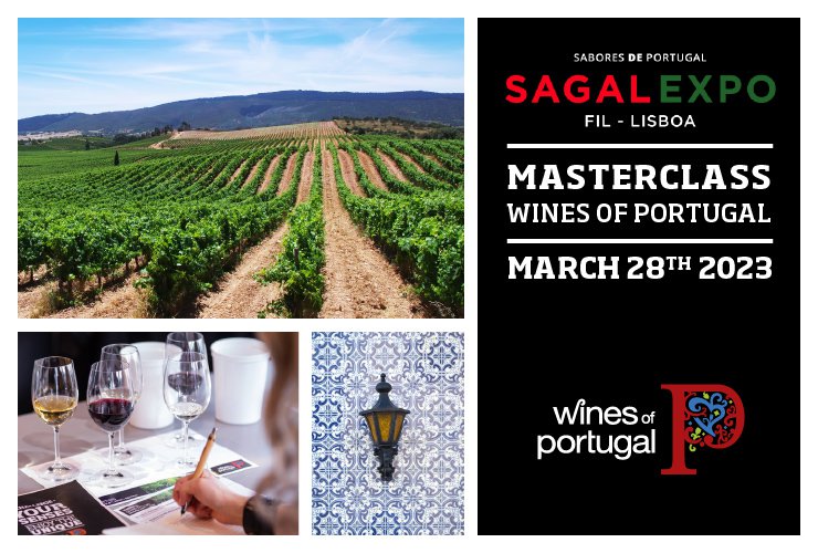 Wines of Portugal Masterclass at 2nd Edition SAGAL EXPO 2023