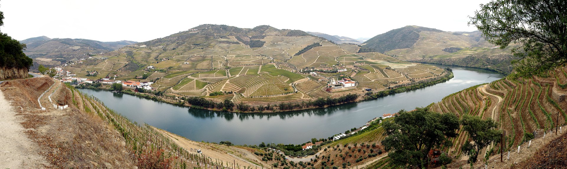 洋書 Port Wine Quinras of the Douro 洋書 Port Wine Quinras of the Douro Port wine quintas of the