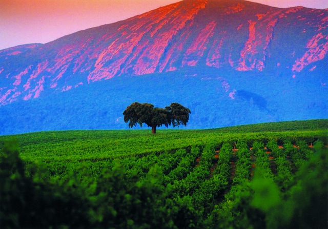 Península de Setúbal