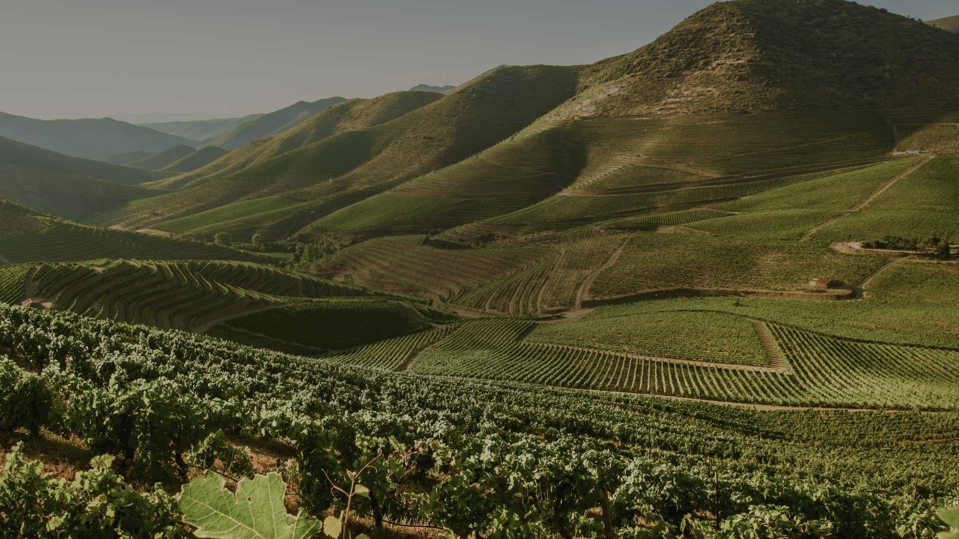 Grande Prova dos Vinhos de Portugal | Lubango